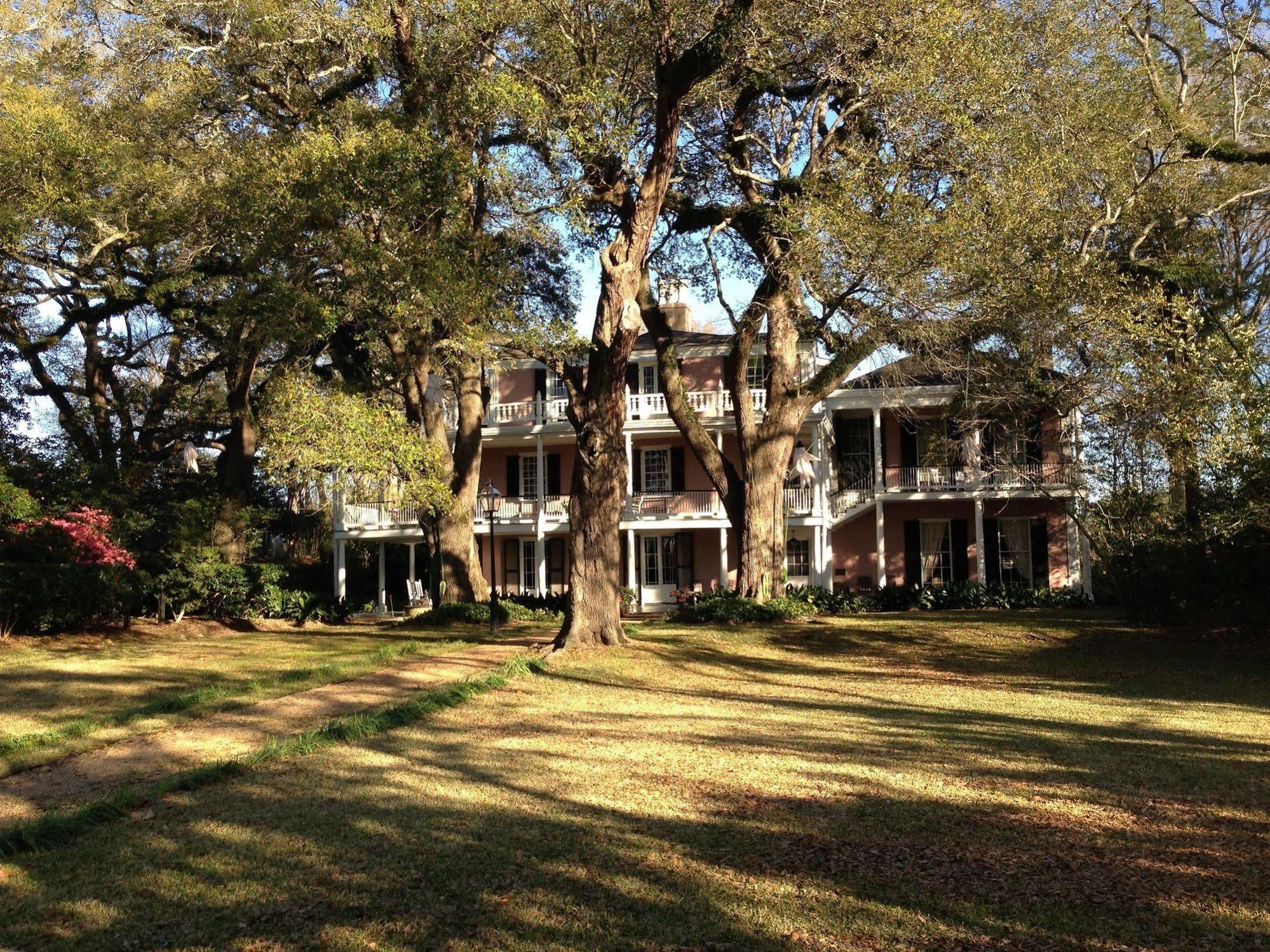 The Elms Bed And Breakfast Natchez Extérieur photo