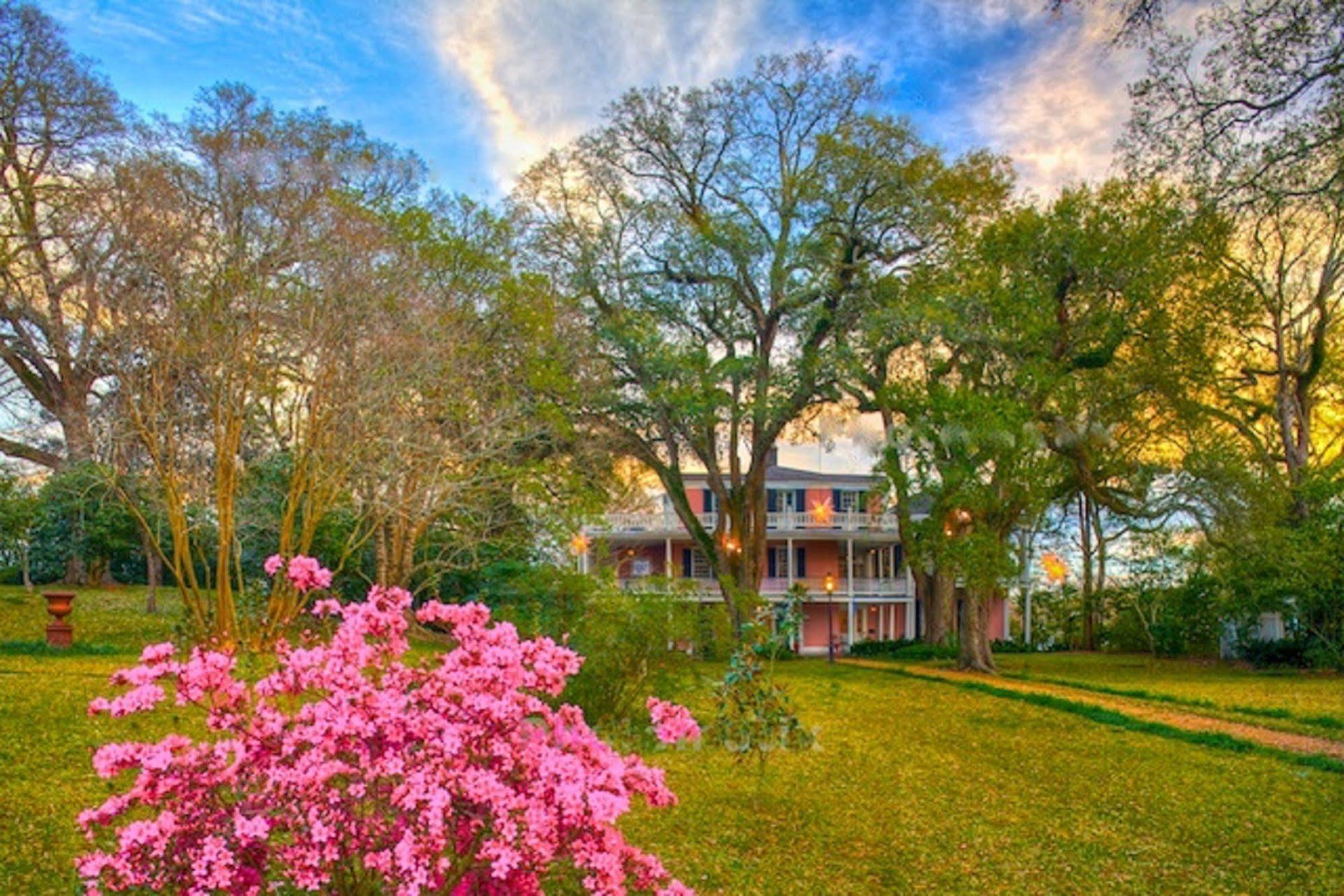 The Elms Bed And Breakfast Natchez Extérieur photo