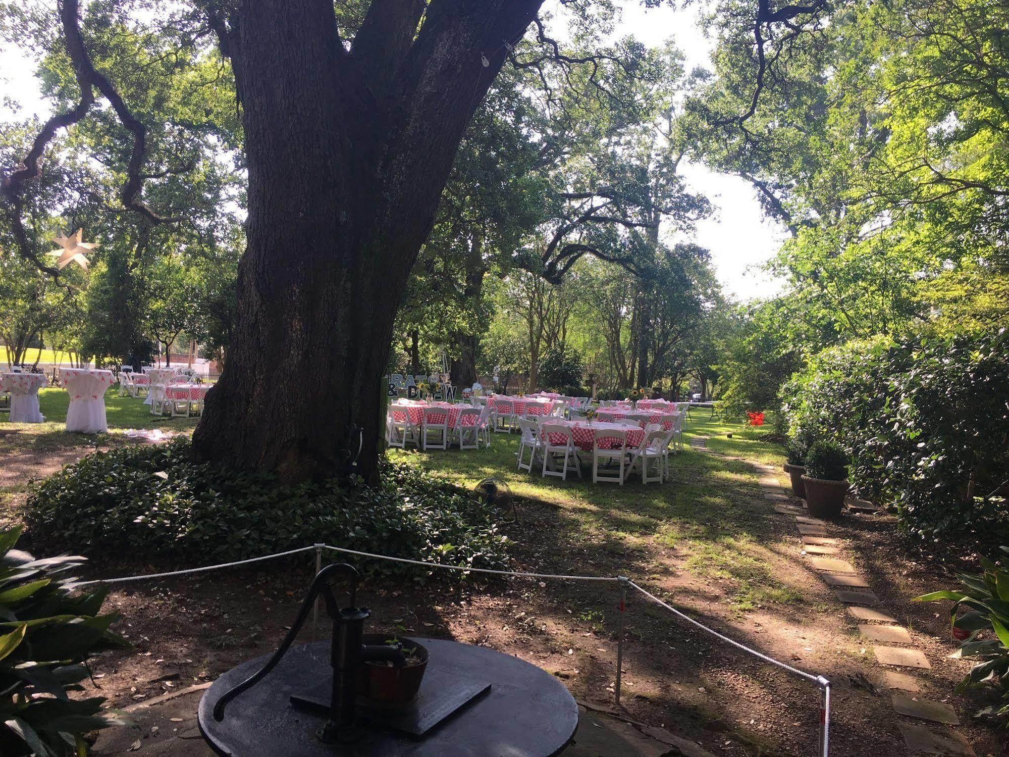 The Elms Bed And Breakfast Natchez Extérieur photo